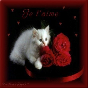 je t'aime!!!